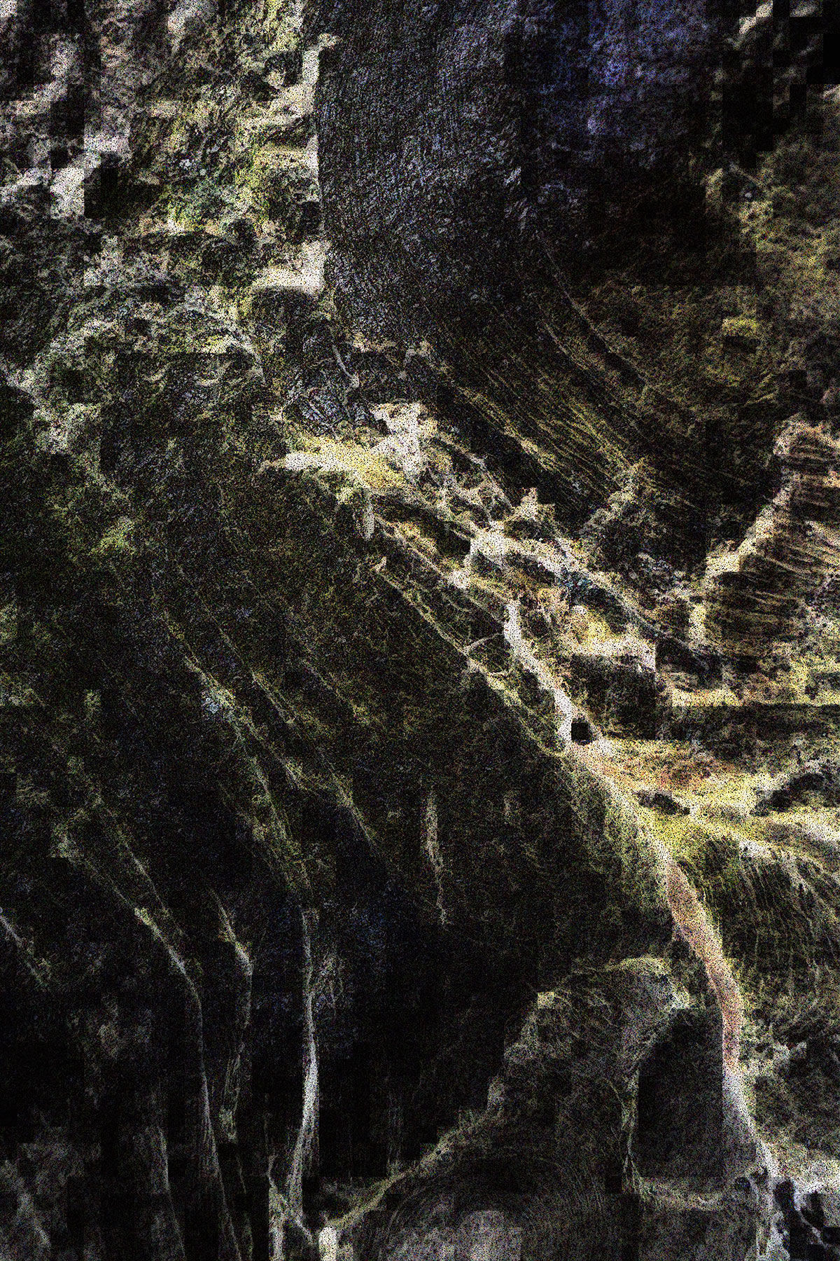 Blutbuche, St. Georgen, Frankfurt am Main Sachsenhausen